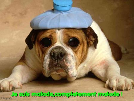 je suis malade complétement malade !!!!